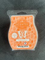 Scentsy Bar Sunshine Mango neu ovp Baden-Württemberg - Obersulm Vorschau