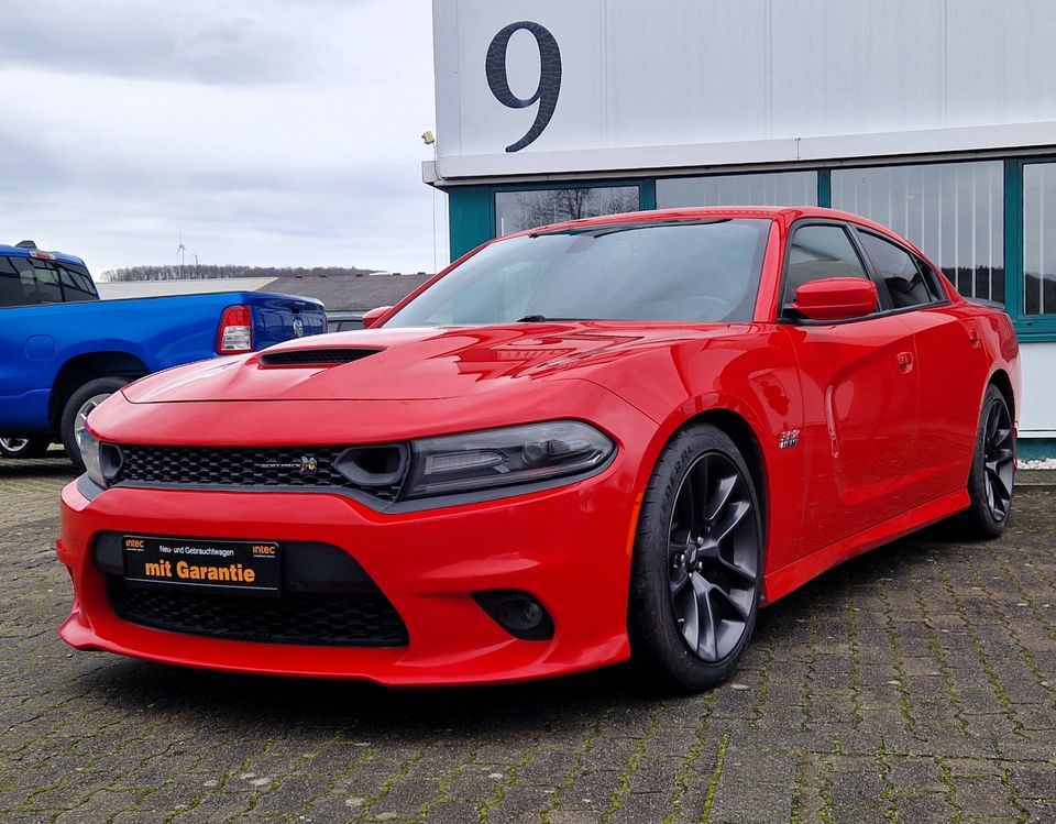 Dodge Charger ScatPack SRT 6.4 V8 Alpine Navi-App SHZ in Fröndenberg (Ruhr)