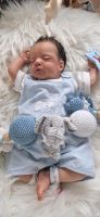 Reborn, Rebornbaby Sam Gudrun Legler Bayern - Schwanstetten Vorschau