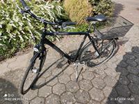 Fahrrad Pegasus Premio SL 28 Zoll 60er Rahmen Niedersachsen - Bockhorn Vorschau