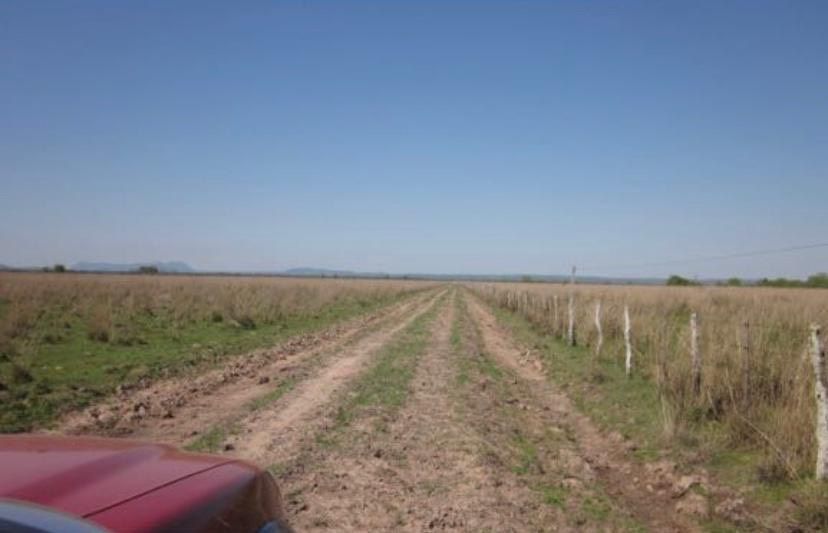 458 ha Grundstück mit 3 Häuser und vieles mehr in Paraguari in Zossen-Zesch am See