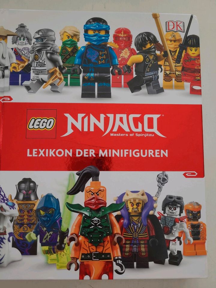 Lego Ninjago Lexikon der Minifiguren in Dortmund