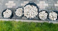 Große Ziersteine für den Garten/ das Beet/ die Pflanzen Hessen - Rödermark Vorschau