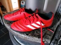 Fussballschuhe Adidas rot 2x benutzt Noppen 37 1/3 Hessen - Dillenburg Vorschau