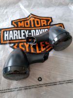 Original Harley Sportster Blinker vorne Baden-Württemberg - Eggenstein-Leopoldshafen Vorschau