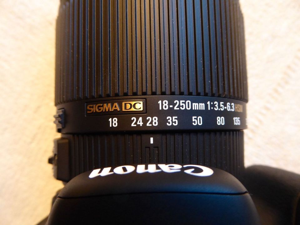 Canon EOS 600D + Sigma DC 18-250mm MACRO HSM in Leverkusen