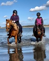 Werde Reitlehrer(in) für Kinder an der Ostsee Rügen - Ummanz Vorschau