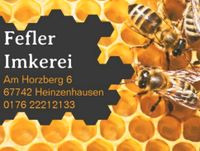 Carnica Bienenvölker Rheinland-Pfalz - Bad Kreuznach Vorschau