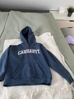 Carhartt Hoodie XS Bayern - Waldbrunn Vorschau