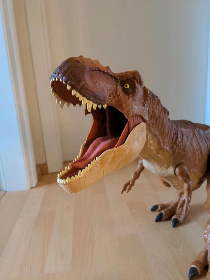 Dino T-Rex in Groß-Umstadt
