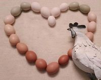 Eier von glücklichen Hühnern Rheinland-Pfalz - Nanzdietschweiler Vorschau