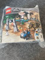 Lego Jurassic World 75937 vollständig Niedersachsen - Rotenburg (Wümme) Vorschau