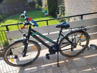 Damenfahrrad Pegasus Piazza 21 Nordrhein-Westfalen - Grevenbroich Vorschau