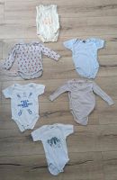 ⭐Baby Body Gr. 62/68⭐ Niedersachsen - Auetal Vorschau