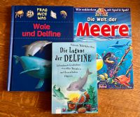 Verschiedene Bücher zum Thema Meer abzugeben Leipzig - Gohlis-Mitte Vorschau