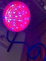 Pflanzenlicht mit Lunartec LED Leuchtmittel Baden-Württemberg - Denzlingen Vorschau