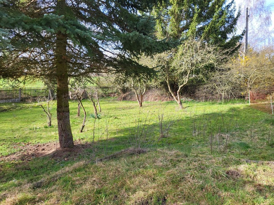 Traumhaftes Gartengrundstück in Dornburg (Saale) in Dornburg