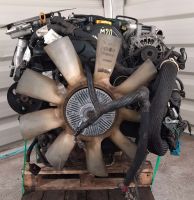 Motor VM52C 2.8CRD DODGE NITRO 64TKM KOMPLETT Berlin - Wilmersdorf Vorschau