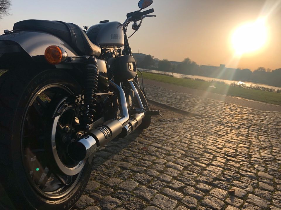 Harley Davidson Roadster 1200 XL2 / A2 tauglich in Potsdam