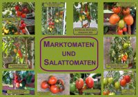 Biete Jungpflanzen aus Bio Anbau an - Salat Saucen Mark Tomaten Hessen - Borken Vorschau