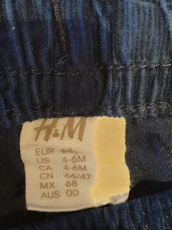 H&M Blaue Cordhose wie Jeans Kleinkind Größe 68 H+M in Griesheim