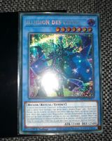 Yugioh Karte:Illusion des Magiers, Secret rare, nm Brandenburg - Kleinmachnow Vorschau