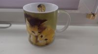 Süß Tasse mit Katzen-Print Rostock - Südstadt Vorschau