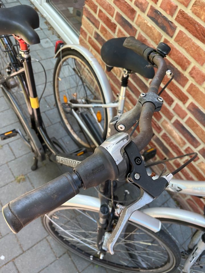 Damenfahrrad 28“ in Kaltenkirchen