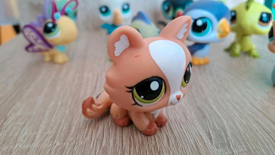 LPS Little Pet Shop Figuren Wackelköpfe in Jena