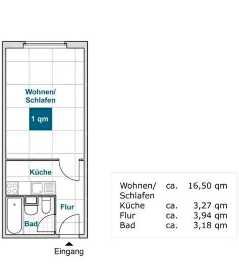 Ein Zimmer Wohnung / Single Room Apartment in Dresden