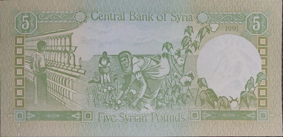 5 lira/pounds 1991. Syrien/syria/syrie سورياbanknoten in Stralsund