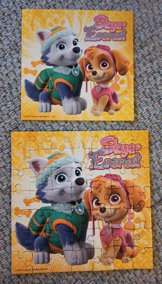 Kinder Puzzle PawPatrol 3x49 Teile in Rötgesbüttel