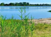 EIGENTUM STATT PACHT, BUNGALOW AM SEE Sachsen-Anhalt - Deetz Vorschau