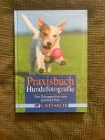 Sachbuch Hunde Fotografieren Praxisbuch Hundefotografie Nordrhein-Westfalen - Herford Vorschau