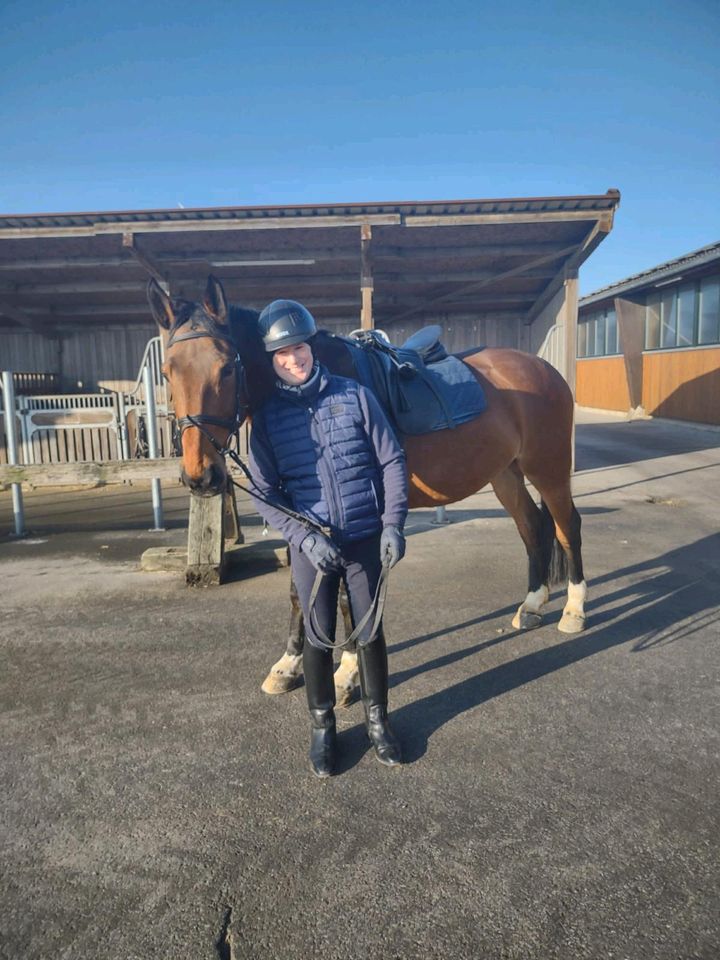 Suche Pferd als Reitbeteiligung in Langwedel