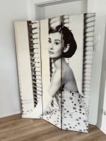 Raumtrenner Audrey Hepburn/ Marilyn Monroe Sachsen - Grimma Vorschau