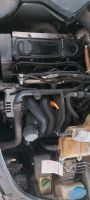 Audi A4 1.6 AHL Motor Sachsen-Anhalt - Havelberg Vorschau