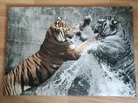 Leinwand Foto mit Tigern Niedersachsen - Denkte Vorschau
