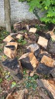 Holz zu verschenken Nordrhein-Westfalen - Remscheid Vorschau
