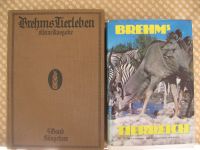 2 Stück Bücher Brehm's Tierreich und Tierleben Bremen - Horn Vorschau