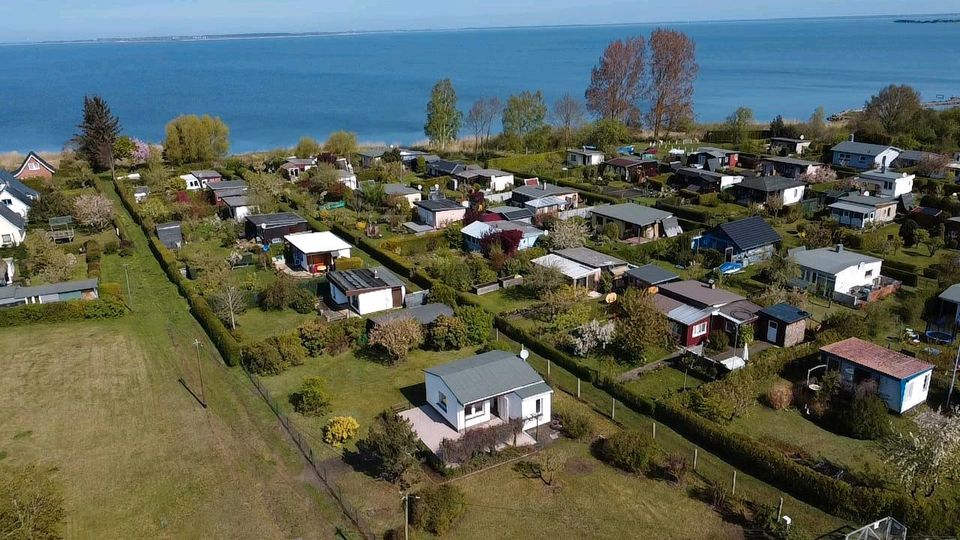 Natur pur - idyllisches Grundstück mit kernsanierten Bungalow in Ribnitz-Damgarten