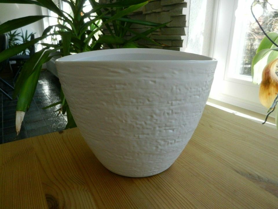 Porzellan Vase in weiß - ovale Form, Höhe 15 cm in Wirges  