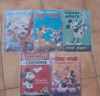 5 Walt Disney Mickey Minnie Blechschilder 30x20cm Bayern - Helmbrechts Vorschau