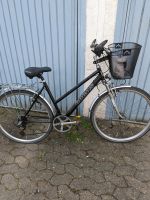 Damen fahrrad Niedersachsen - Hardegsen Vorschau