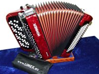 Hohner Knopfakkordeon Nova III 96 B-Griff mit Limex MPRX komplett Rheinland-Pfalz - Daun Vorschau