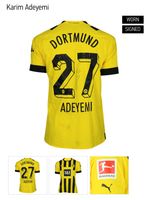 Matchworn Trikot Adeyemi BVB Borussia Dortmund Echtheitszertifika Nordrhein-Westfalen - Sankt Augustin Vorschau