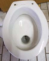 Villeroy & Boch Keramik erhöhte Stand Toilette WC Nordrhein-Westfalen - Bad Driburg Vorschau