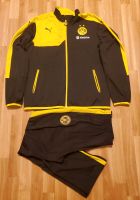 Full Tracksuit Borussia Dortmund 2015 Puma Brandenburg - Potsdam Vorschau