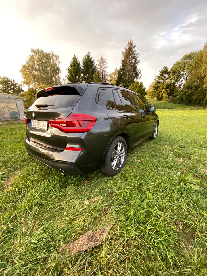 BMW X3  XDRIVE  3.0D  MPAKET  2019 in Neuhausen