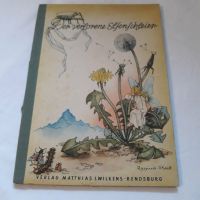 Der verlorene Elfenschleier. Ein Märchen in Versen mit Bildern Baden-Württemberg - Tübingen Vorschau